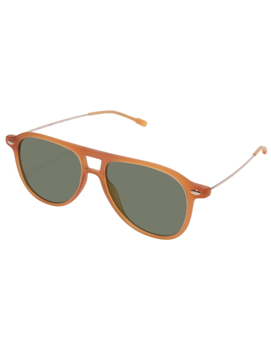 POLARIZED SUN FLY HONEY