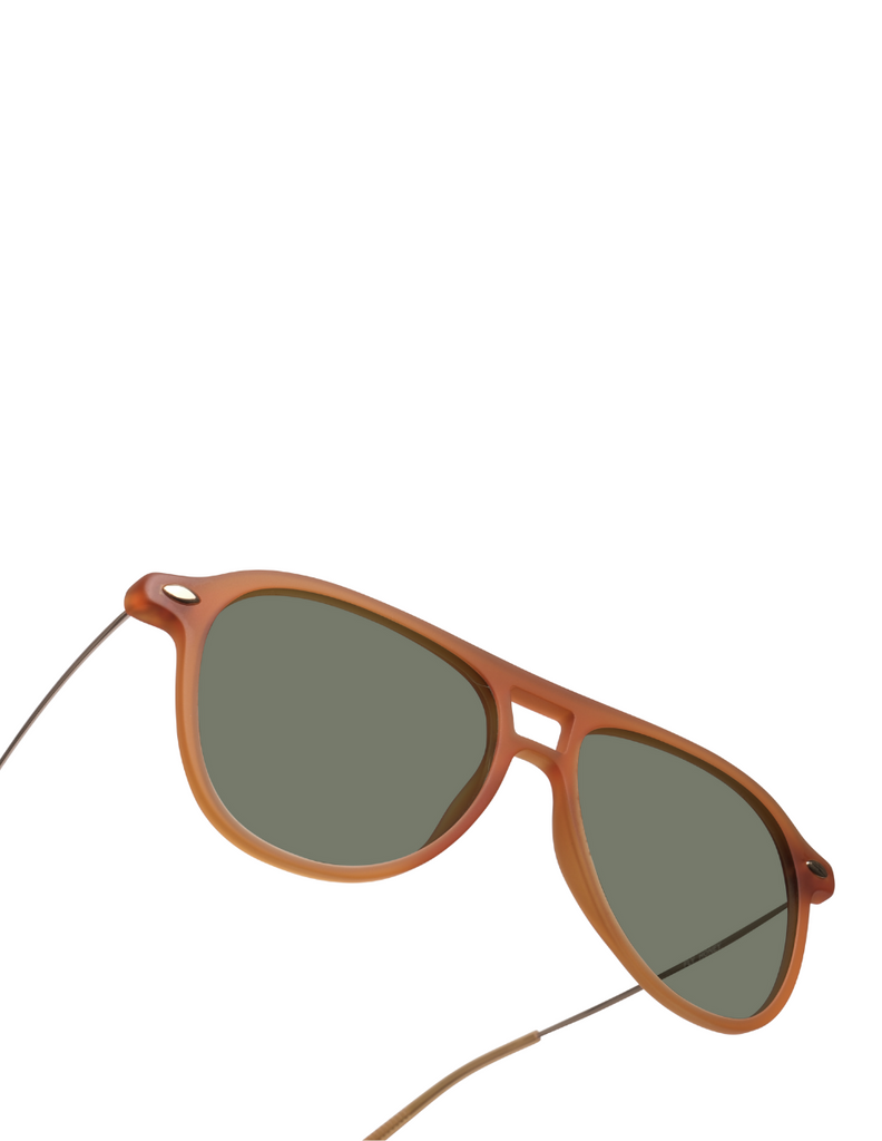 POLARIZED SUN FLY HONEY