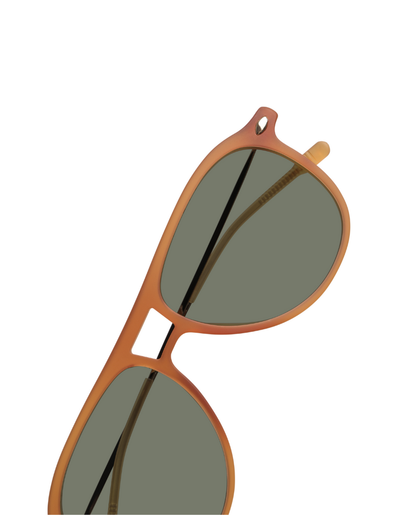 POLARIZED SUN FLY HONEY