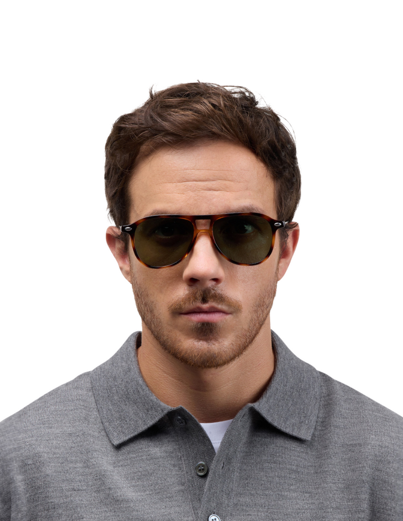 POLARIZED SUN FLY TORTOISE