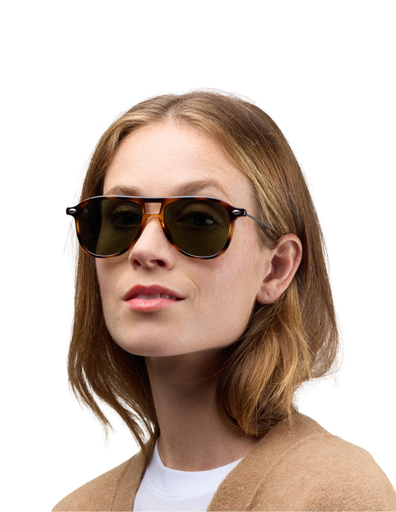 POLARIZED SUN FLY TORTOISE