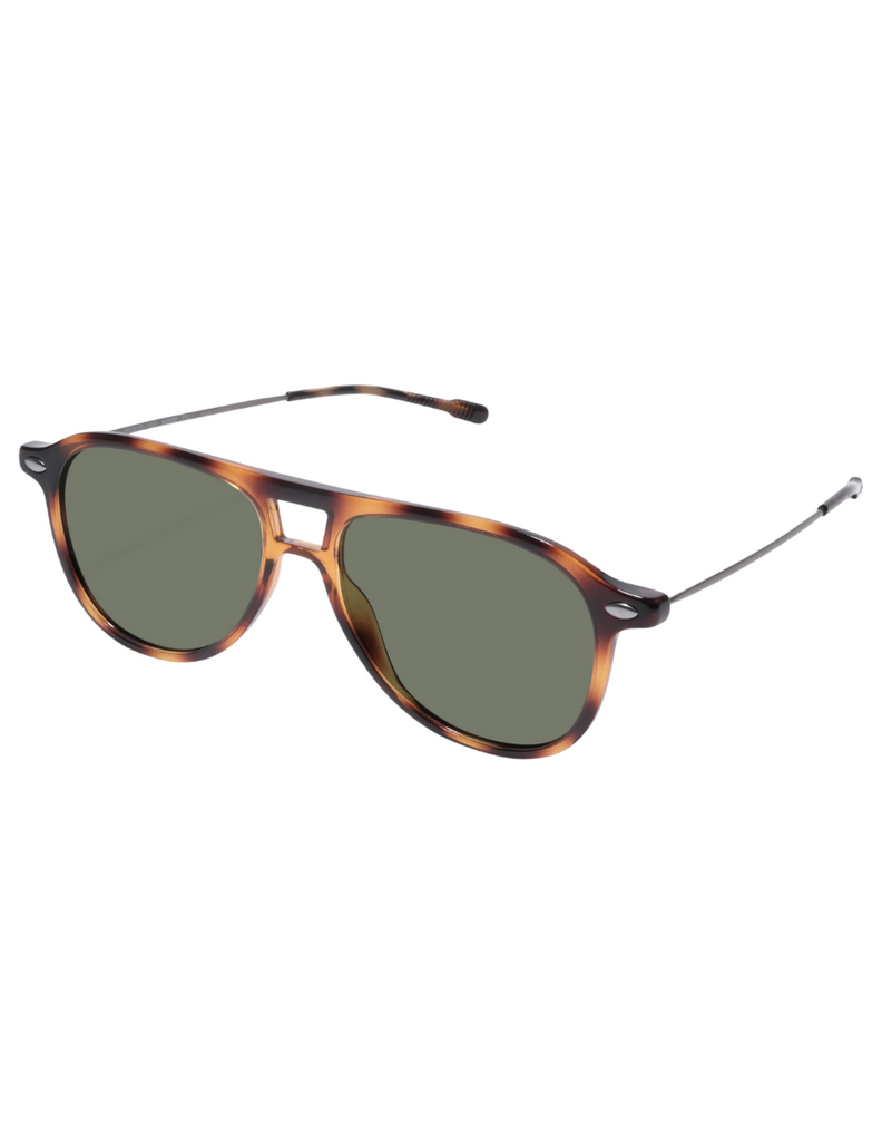 POLARIZED SUN FLY TORTOISE