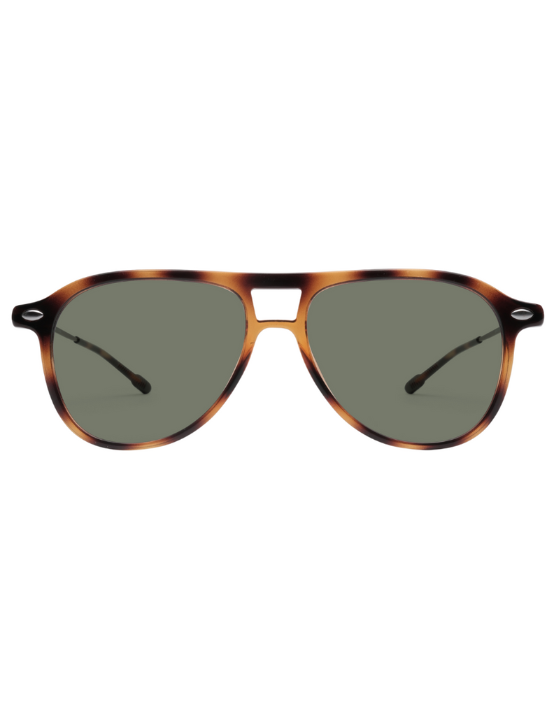 POLARIZED SUN FLY TORTOISE