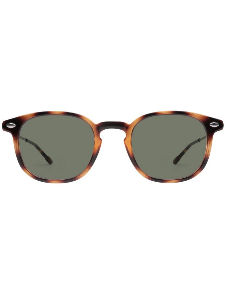 POLARIZED SUN ALMA TORTOISE