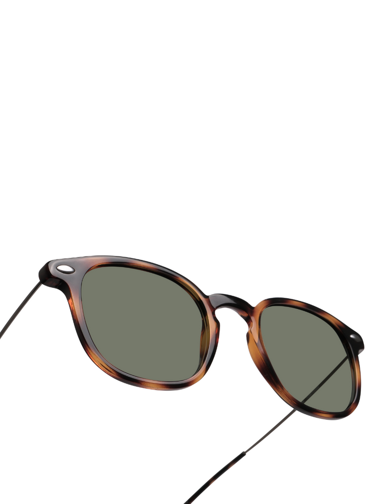 POLARIZED SUN ALMA TORTOISE