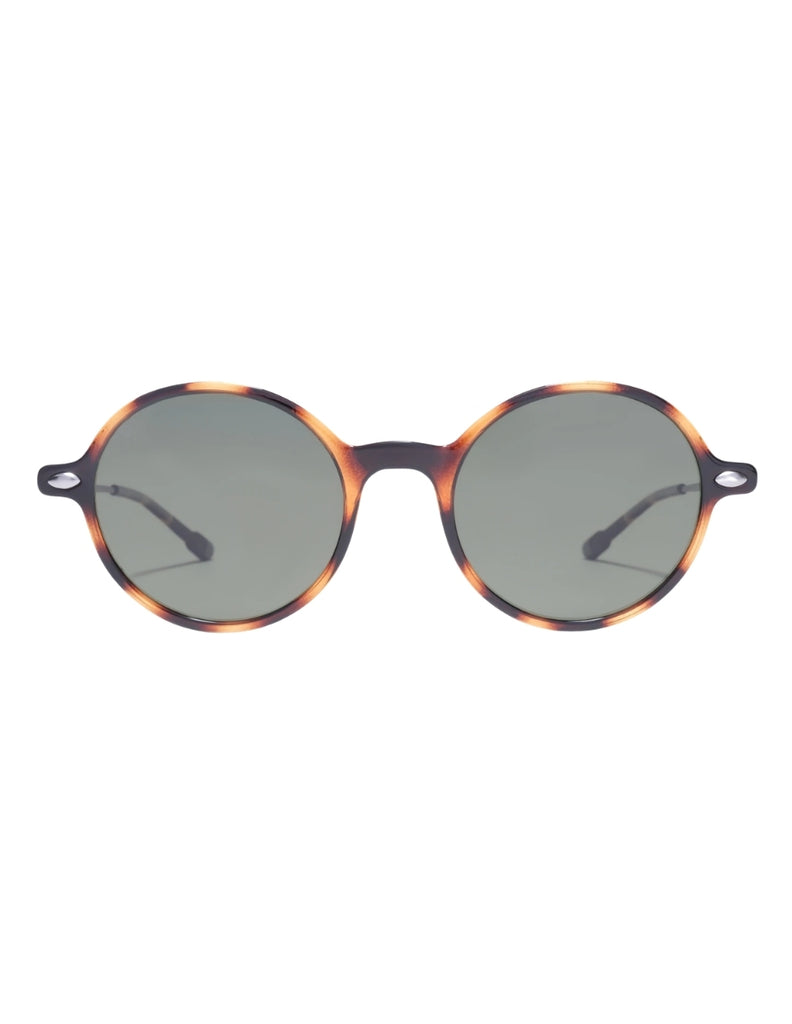 POLARIZED SUN MILO TORTOISE