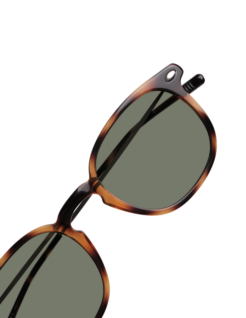 POLARIZED SUN ALMA TORTOISE