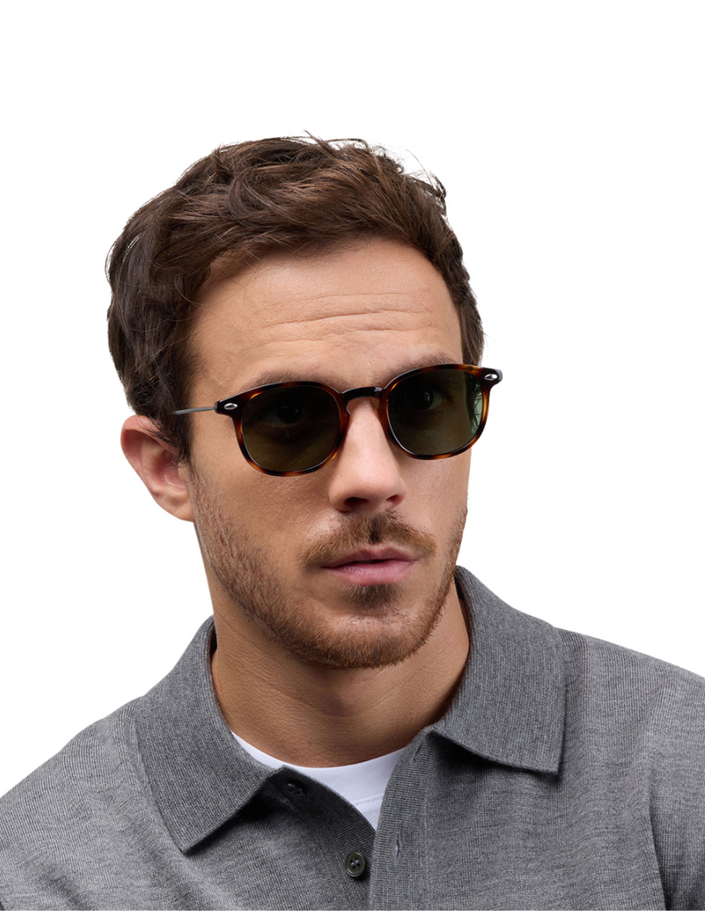 POLARIZED SUN ALMA TORTOISE