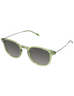 POLARIZED SUN ALMA PISTACCHIO
