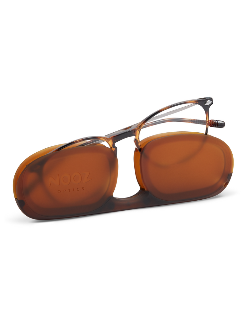 READING ALBA TORTOISE