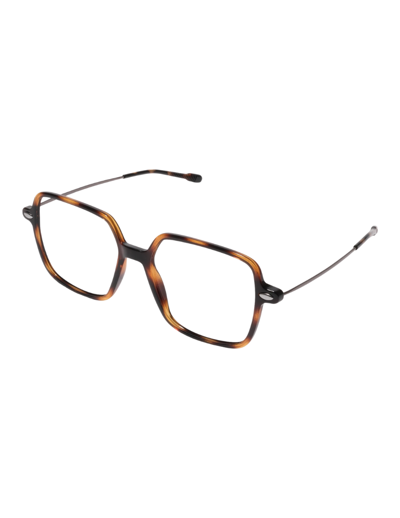 READING LENA TORTOISE