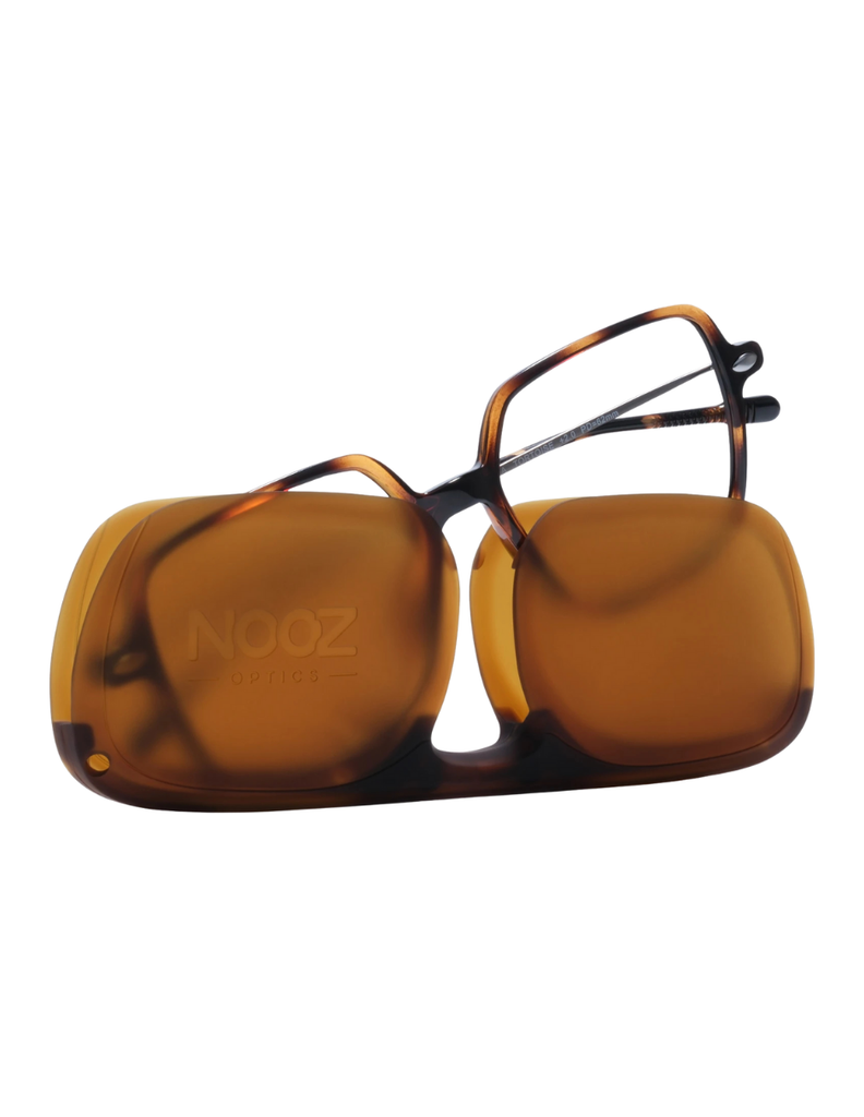 READING LENA TORTOISE