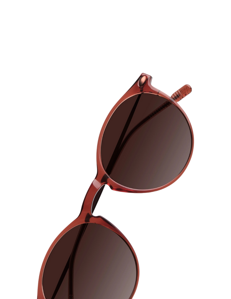 POLARIZED SUN CRUZ TERRACOTTA