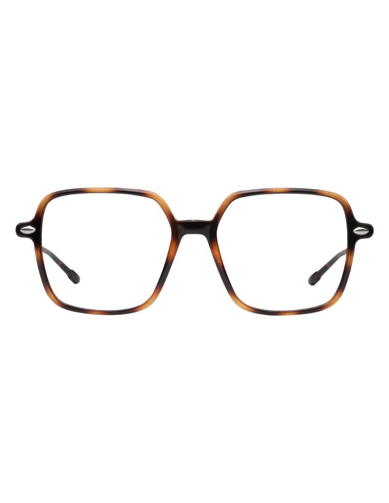 READING LENA TORTOISE