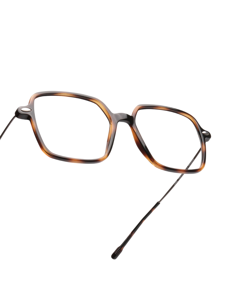 READING LENA TORTOISE