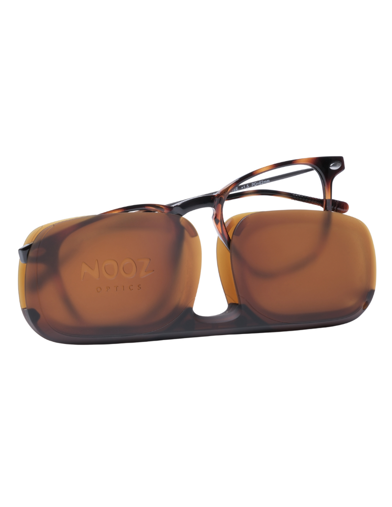 READING DINO TORTOISE