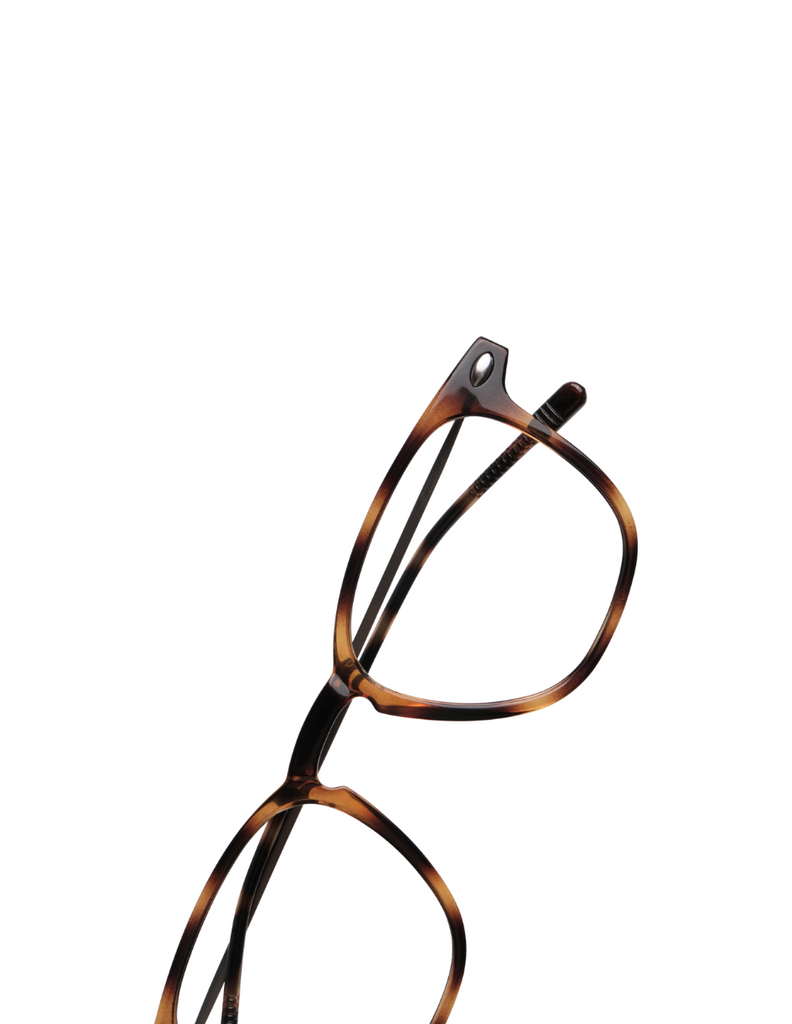 READING DINO TORTOISE