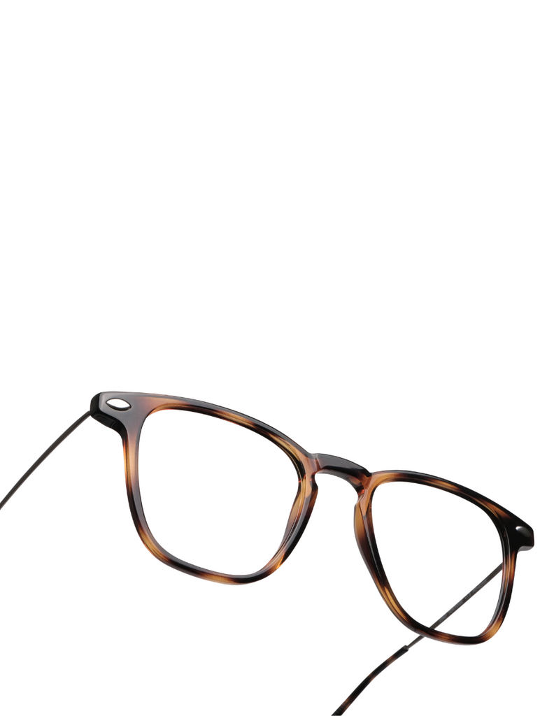 READING DINO TORTOISE