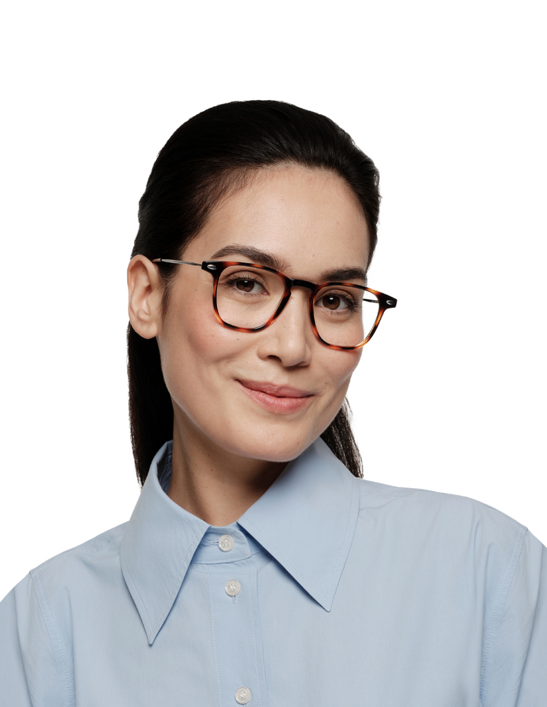 READING DINO TORTOISE