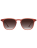 POLARIZED SUN DINO TERRACOTTA