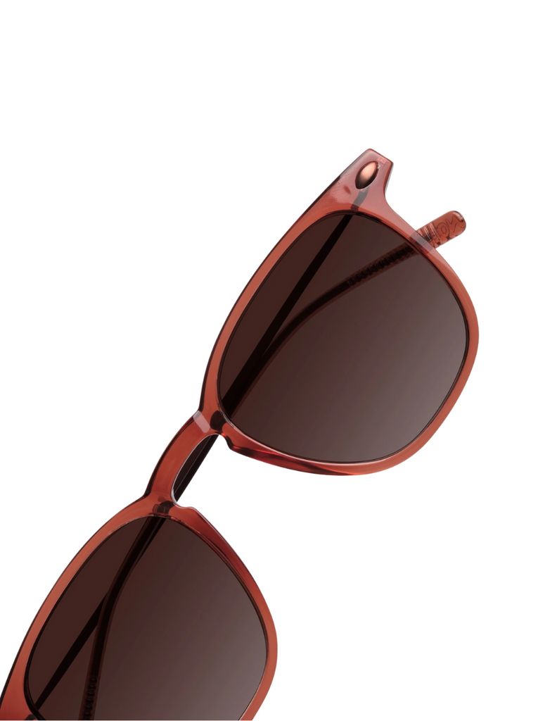 POLARIZED SUN DINO TERRACOTTA