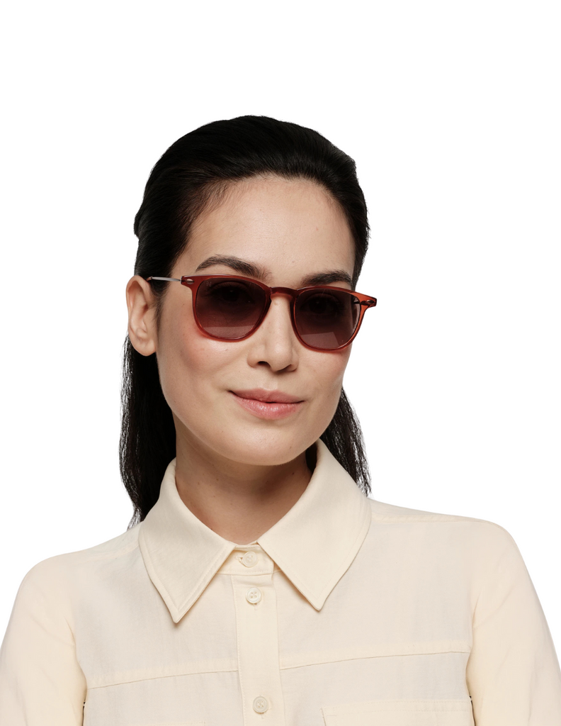 POLARIZED SUN DINO TERRACOTTA