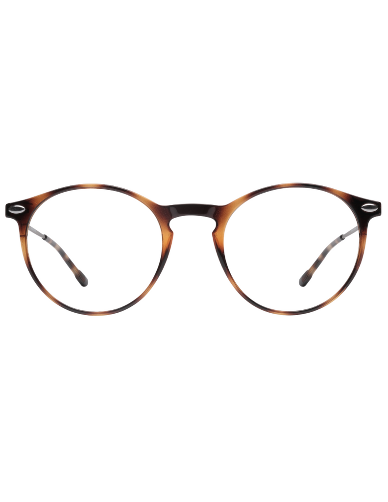 READING CRUZ TORTOISE