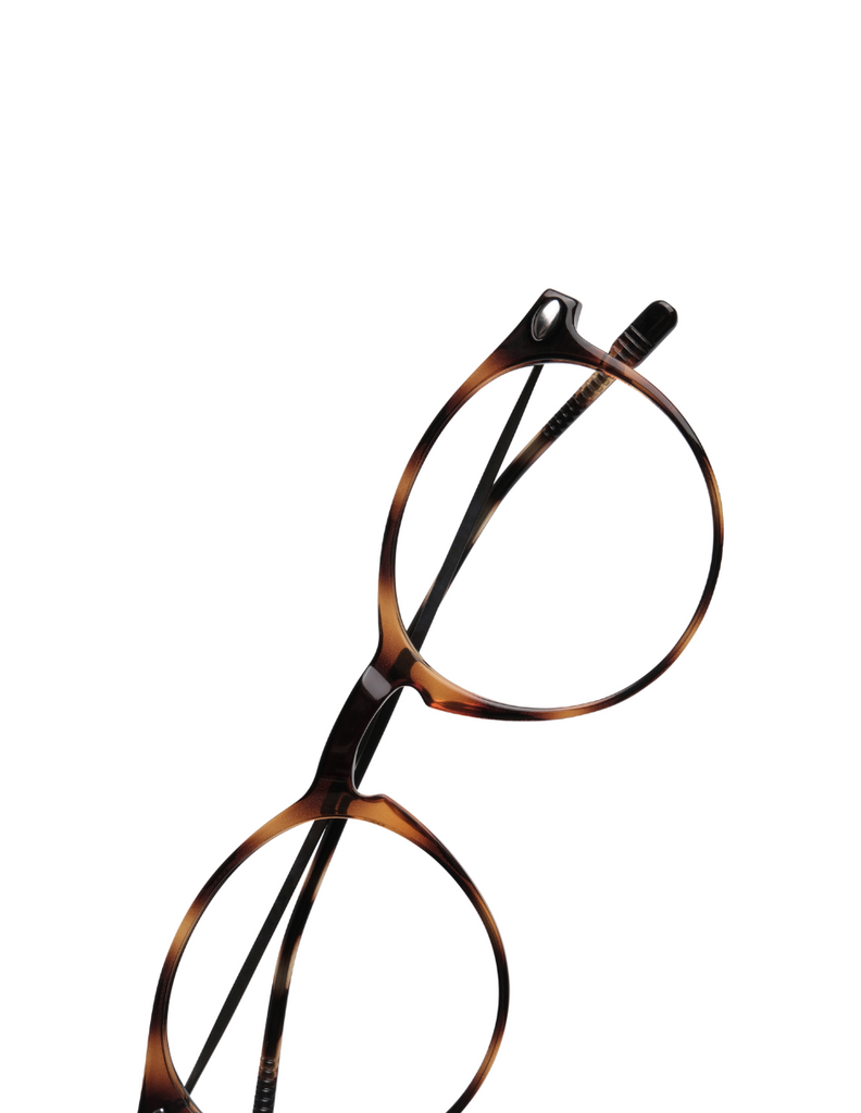 READING CRUZ TORTOISE