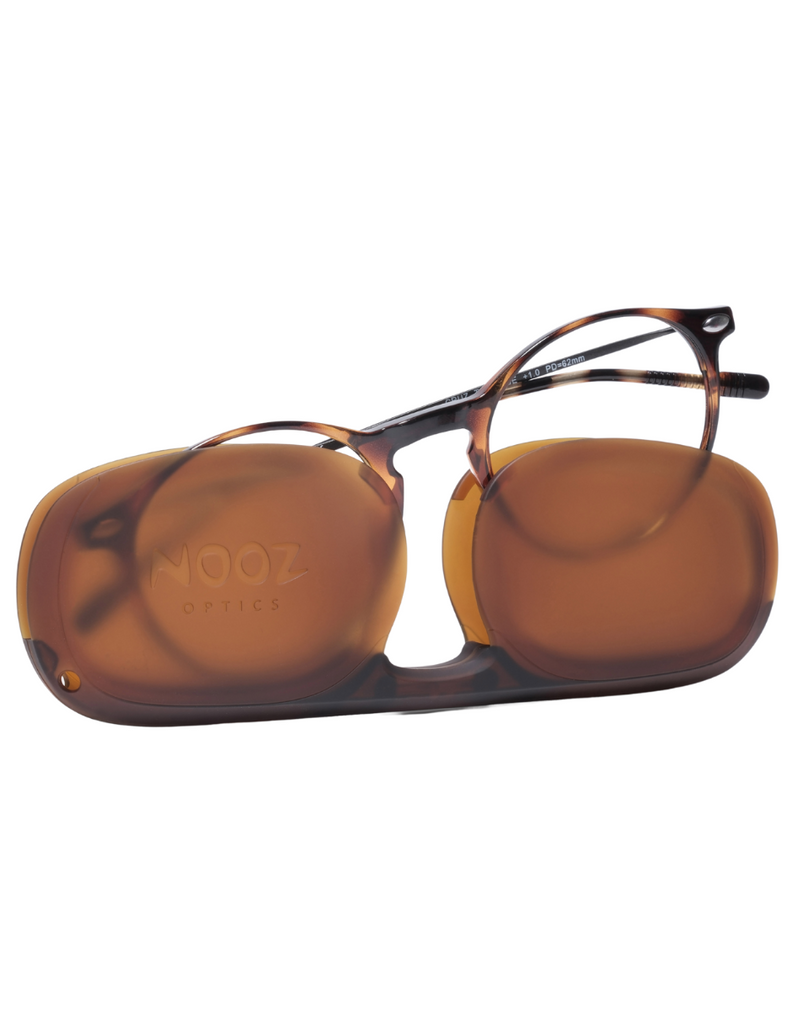 READING CRUZ TORTOISE