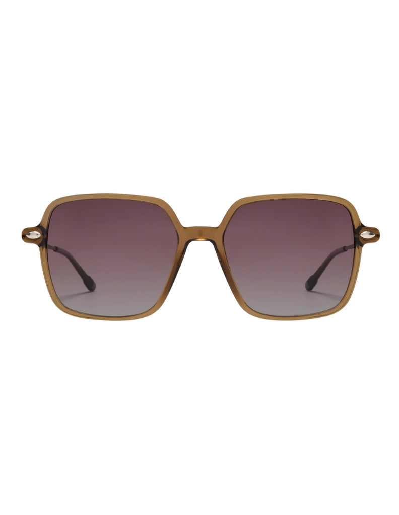 POLARIZED SUN LENA OLIVE