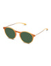 POLARIZED SUN CRUZ HONEY
