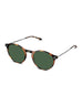 POLARIZED SUN CRUZ TORTOISE