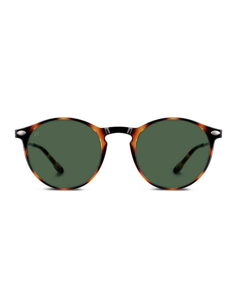POLARIZED SUN CRUZ TORTOISE