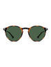 POLARIZED SUN CRUZ TORTOISE