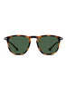 POLARIZED SUN DINO TORTOISE