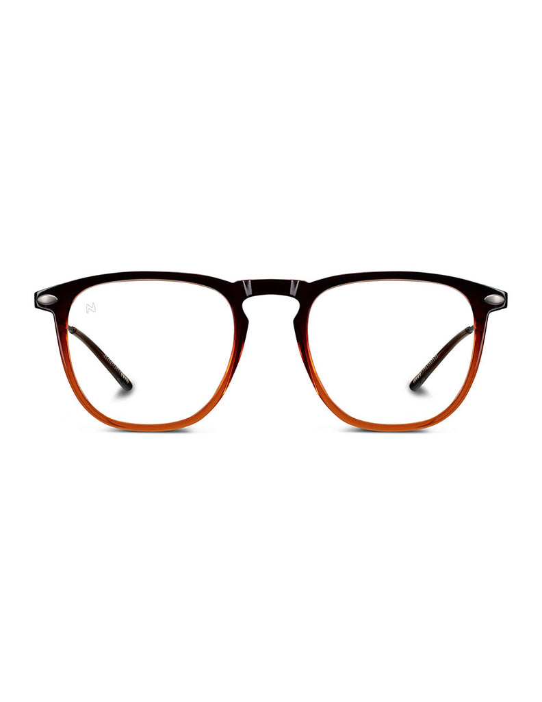 READING DINO BROWN BRONZE