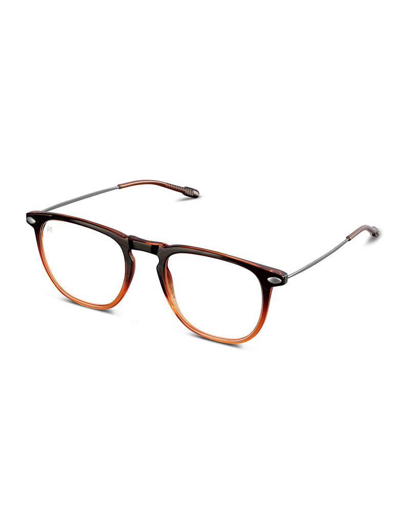 READING DINO BROWN BRONZE