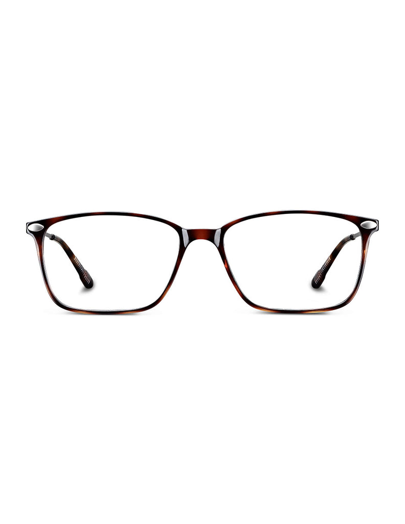 READING BAO TORTOISE