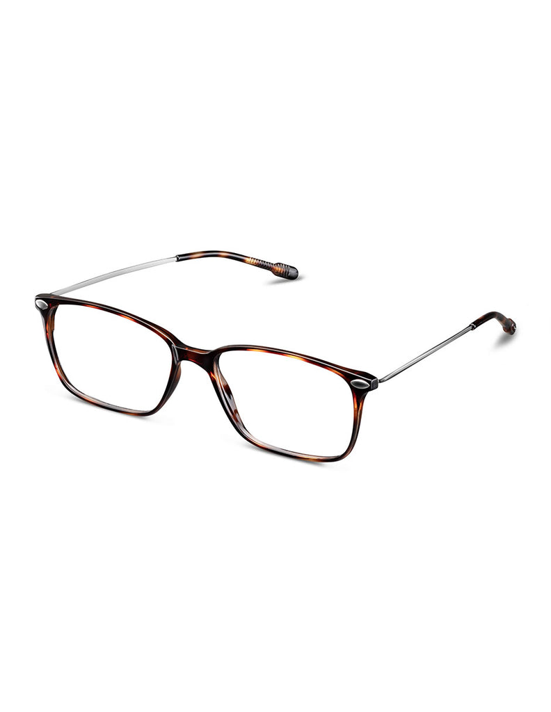 READING BAO TORTOISE