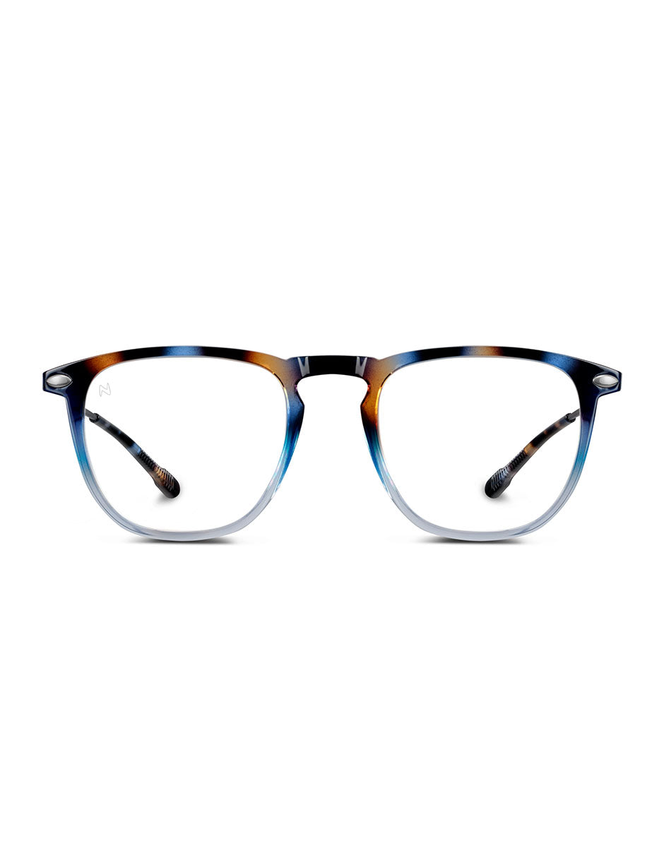 READING DINO TORTOISE NAVY