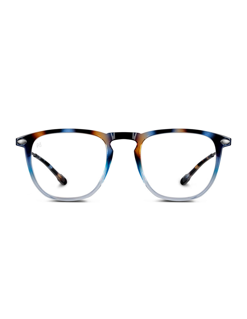 READING DINO TORTOISE NAVY