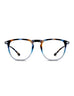READING DINO TORTOISE NAVY