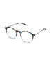 READING CRUZ TORTOISE NAVY