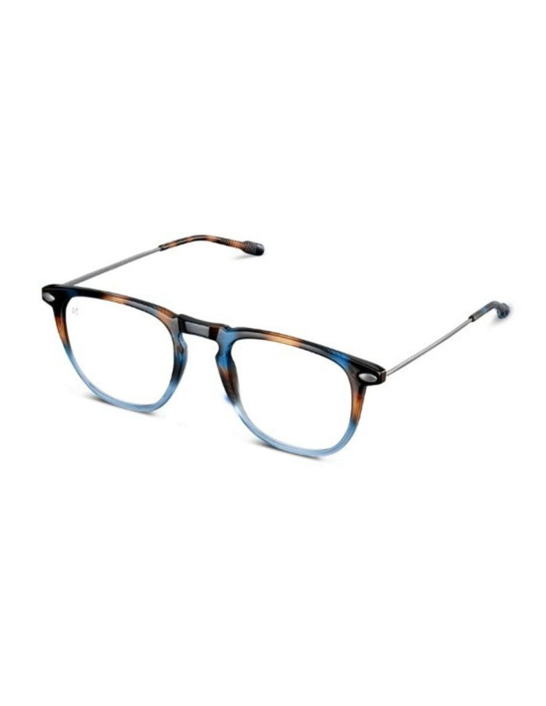 READING DINO TORTOISE NAVY