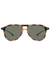 POLARIZED SUN FLY TORTOISE