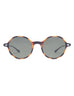 POLARIZED SUN MILO TORTOISE