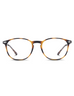 READING MULTIDISTANCE ALBA TORTOISE