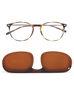 READING MULTIDISTANCE ALBA TORTOISE