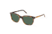 SUN CAIRO TORTOISE BIO ACETATE