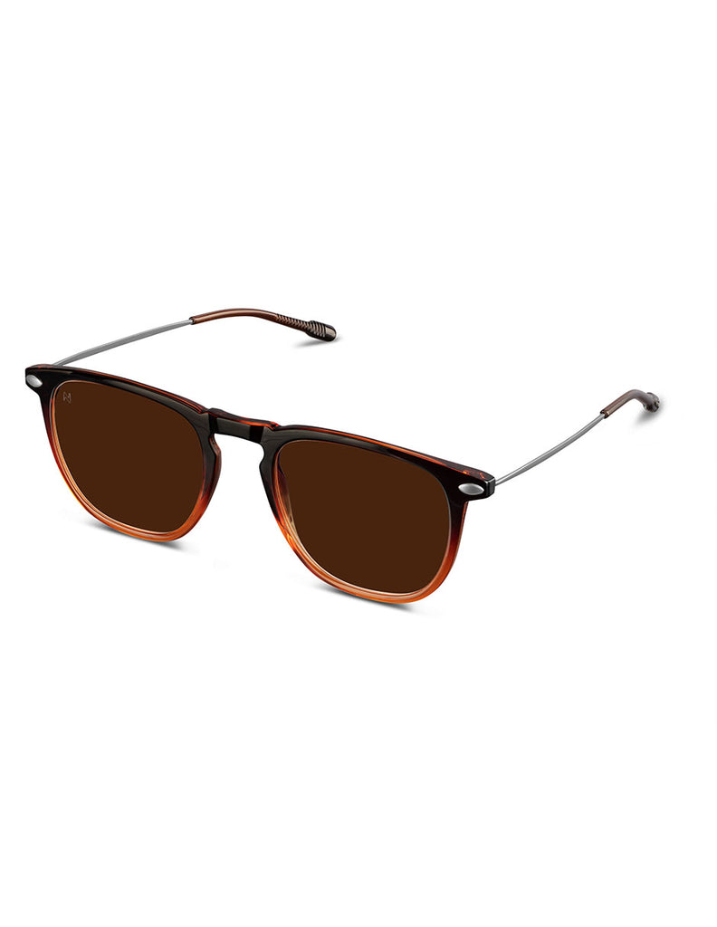 POLARIZED SUN DINO BROWN BRONZE